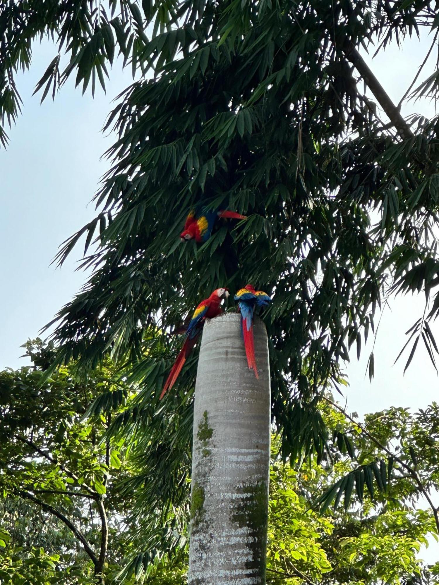 Hospedaje Colibri Manuel Antonio Luaran gambar